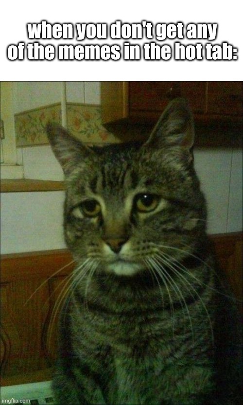 :( | when you don't get any of the memes in the hot tab: | image tagged in memes,depressed cat | made w/ Imgflip meme maker