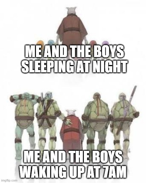 My boys waking up in the morning | ME AND THE BOYS SLEEPING AT NIGHT; ME AND THE BOYS WAKING UP AT 7AM | image tagged in tmnt grown up,memes,funny | made w/ Imgflip meme maker