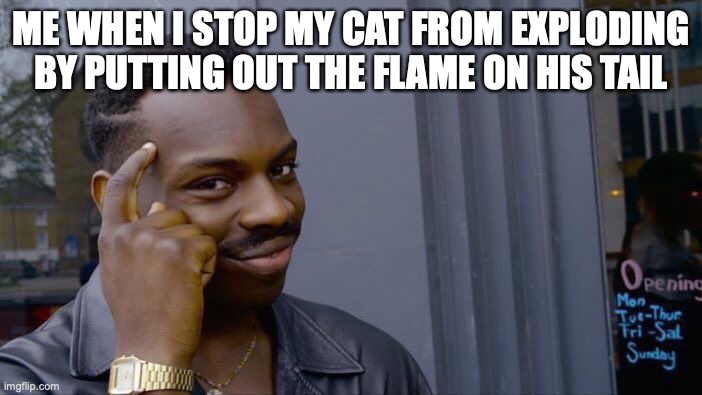 Totaly me | ME WHEN I STOP MY CAT FROM EXPLODING BY PUTTING OUT THE FLAME ON HIS TAIL | image tagged in memes,roll safe think about it | made w/ Imgflip meme maker