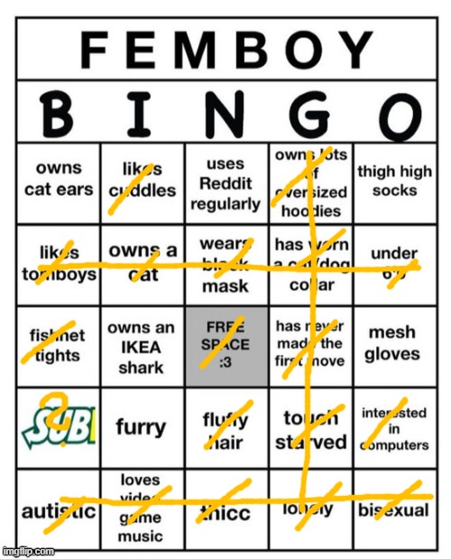 Cat Ears are a necessity | image tagged in femboy bingo,mod by aristotle2024 | made w/ Imgflip meme maker