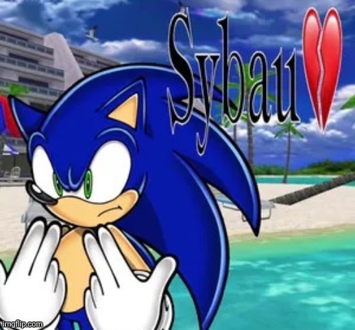 Sonic adventure 1 sybau | image tagged in sonic adventure 1 sybau | made w/ Imgflip meme maker
