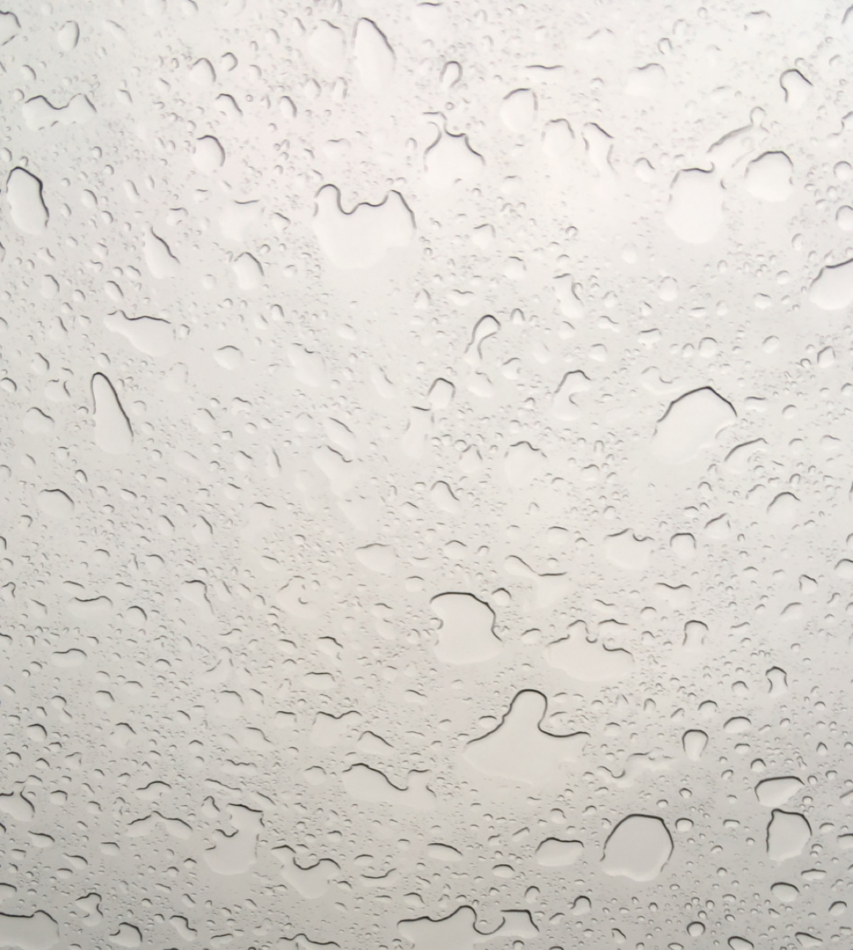 Rain Blank Meme Template