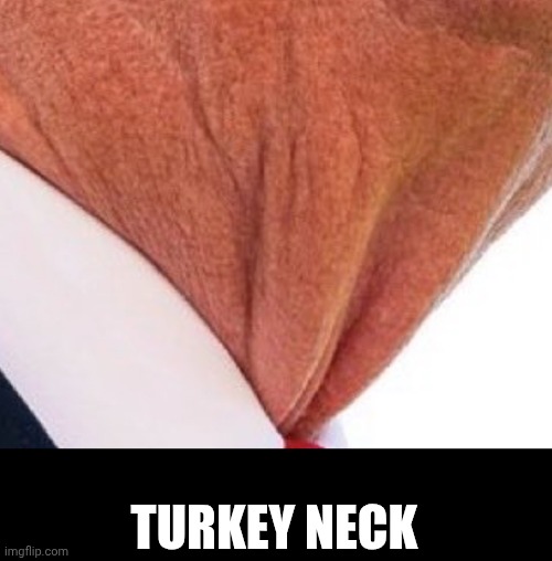 Turkey neck | TURKEY NECK | image tagged in neck vagina,turkney | made w/ Imgflip meme maker