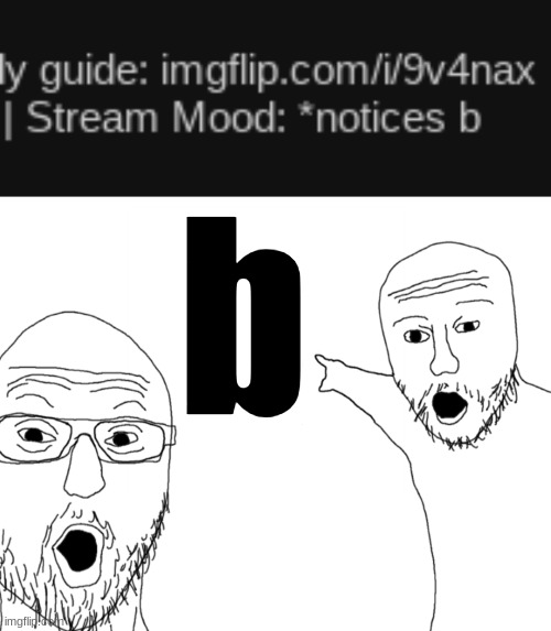 b | image tagged in soyjak pointing | made w/ Imgflip meme maker