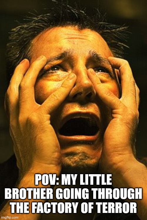 Terrified hopeless | POV: MY LITTLE BROTHER GOING THROUGH THE FACTORY OF TERROR | image tagged in terrified hopeless | made w/ Imgflip meme maker
