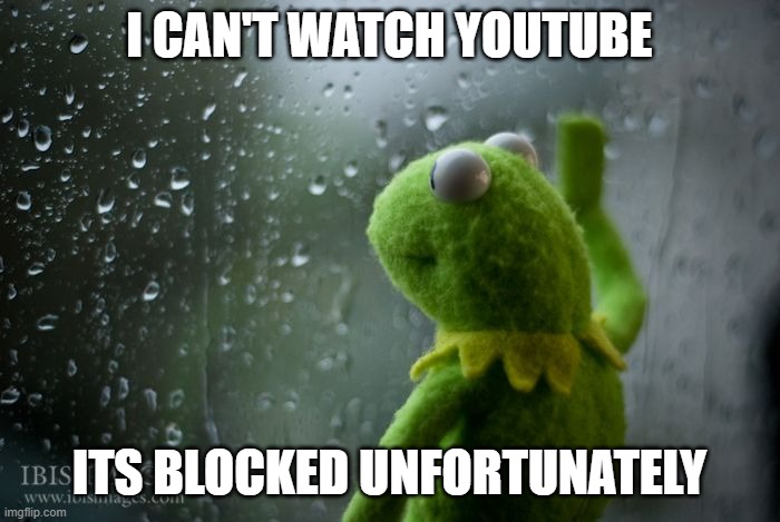 kermit window | I CAN'T WATCH YOUTUBE ITS BLOCKED UNFORTUNATELY | image tagged in kermit window | made w/ Imgflip meme maker