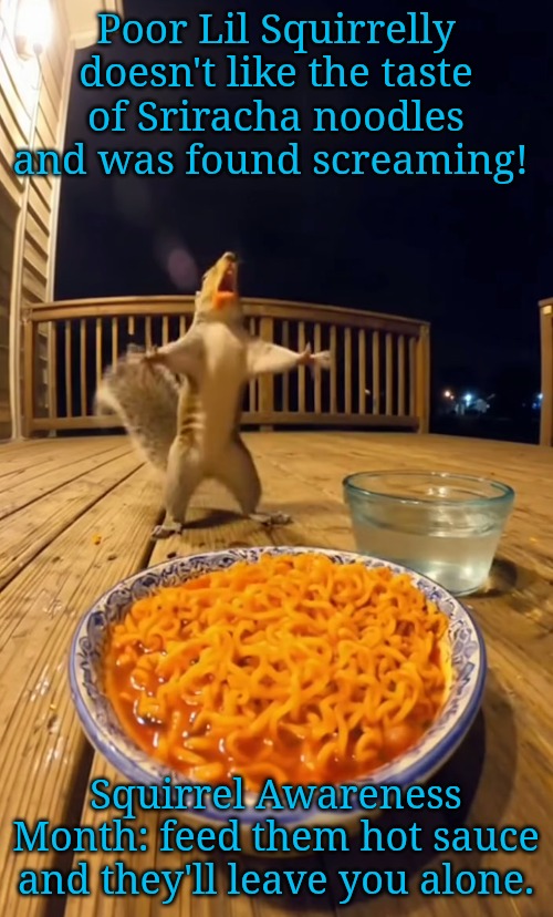 Squirrel Awareness Month: truth #8 they hate hot sauce | Poor Lil Squirrelly doesn't like the taste of Sriracha noodles and was found screaming! Squirrel Awareness Month: feed them hot sauce and they'll leave you alone. | image tagged in come here little one,would you like some | made w/ Imgflip meme maker