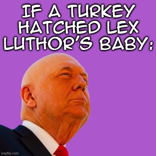 ;D | IF A TURKEY HATCHED LEX LUTHOR'S BABY: | image tagged in lex luthor,turkey,donald trump | made w/ Imgflip meme maker