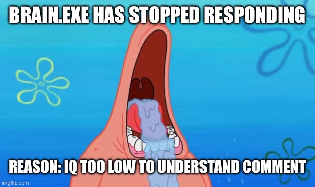 low intelligence specimen | BRAIN.EXE HAS STOPPED RESPONDING; REASON: IQ TOO LOW TO UNDERSTAND COMMENT | image tagged in patrick drooling meme | made w/ Imgflip meme maker