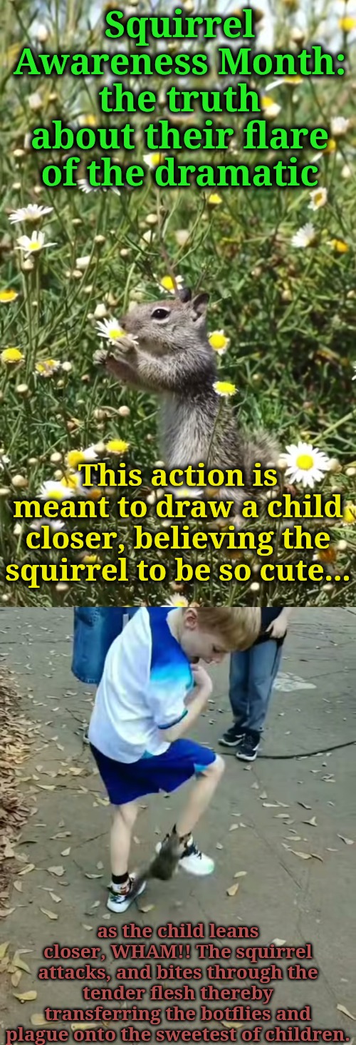 Squirrel Awareness Month: truth #10...then WHAM!! they bite the tender flesh | Squirrel Awareness Month: the truth about their flare of the dramatic; This action is meant to draw a child closer, believing the squirrel to be so cute... as the child leans closer, WHAM!! The squirrel attacks, and bites through the tender flesh thereby transferring the botflies and plague onto the sweetest of children. | image tagged in they work for the devil,dont be fooled | made w/ Imgflip meme maker