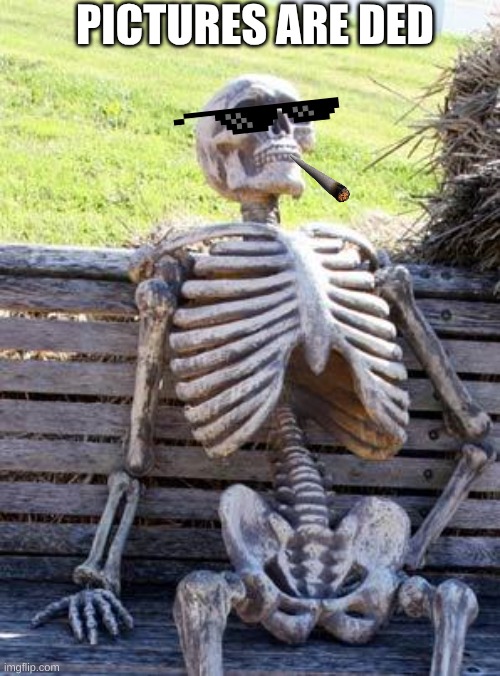 PICTURES ARE DED | PICTURES ARE DED | image tagged in memes,waiting skeleton | made w/ Imgflip meme maker