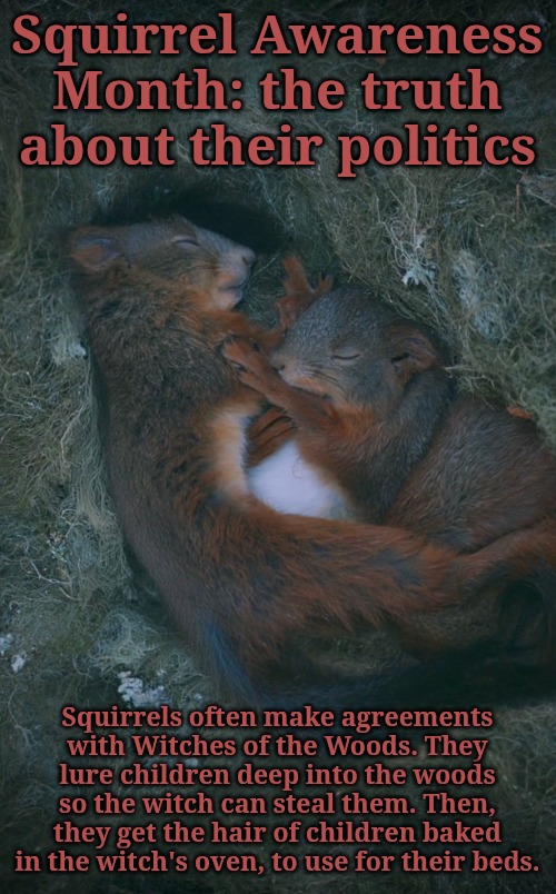 Squirrel Awareness Month: truth #11... they are in cahoots with witches | Squirrel Awareness Month: the truth about their politics; Squirrels often make agreements with Witches of the Woods. They lure children deep into the woods so the witch can steal them. Then, they get the hair of children baked in the witch's oven, to use for their beds. | image tagged in watch out this halloween,they are made of the devil,halloween | made w/ Imgflip meme maker