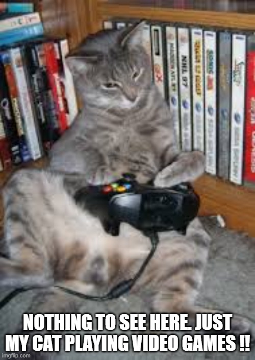 Nothing to see here. Just my cat playing video games !! | NOTHING TO SEE HERE. JUST MY CAT PLAYING VIDEO GAMES !! | image tagged in games,video games,computer games,funny,cats,playstation | made w/ Imgflip meme maker