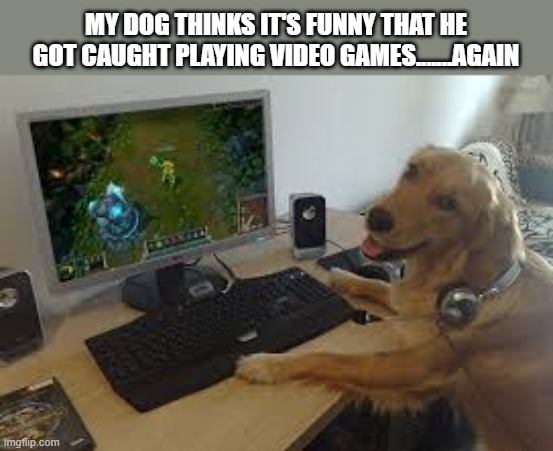 My dog thinks it's funny that he got caught playing video games .......... again. | MY DOG THINKS IT'S FUNNY THAT HE GOT CAUGHT PLAYING VIDEO GAMES.......AGAIN | image tagged in games,video games,computer games,funny,dogs,playstation | made w/ Imgflip meme maker