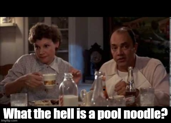 WTH is a pool noodle | What the hell is a pool noodle? | image tagged in movie quotes,funny memes | made w/ Imgflip meme maker