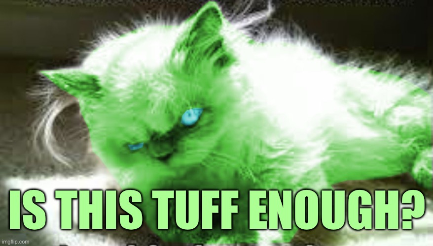 mad raycat | IS THIS TUFF ENOUGH? | image tagged in mad raycat | made w/ Imgflip meme maker