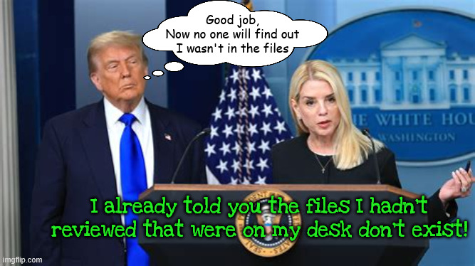 OMG Trump's guilty of being innocent | Good job,
 Now no one will find out 
I wasn't in the files; I already told you the files I hadn't reviewed that were on my desk don't exist! | image tagged in omg trump's guilty of being innocent,pam bondi has alzheimer's,jeff was bi,epsteingate,wonderful lie | made w/ Imgflip meme maker