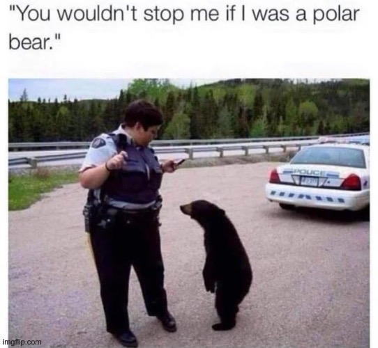 If you were the cop, how would you respond | made w/ Imgflip meme maker