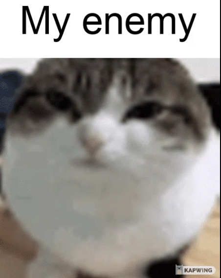 test Blank Meme Template