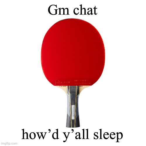 ITS MY BITTHDAYYYYYY | Gm chat; how’d y’all sleep | image tagged in ping pong | made w/ Imgflip meme maker
