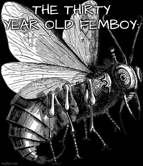 THE THIRTY YEAR OLD FEMBOY: | image tagged in blep | made w/ Imgflip meme maker