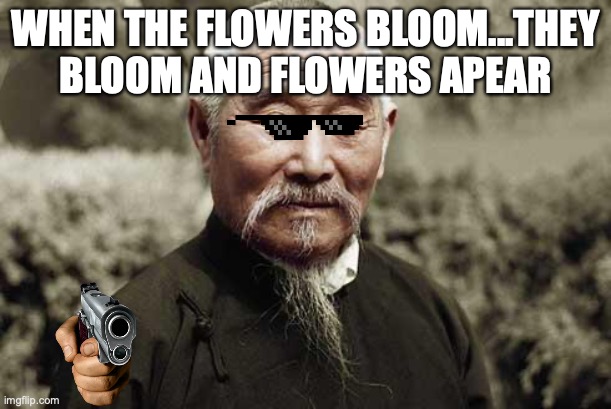 Wise man | WHEN THE FLOWERS BLOOM...THEY BLOOM AND FLOWERS APEAR | image tagged in wise man | made w/ Imgflip meme maker