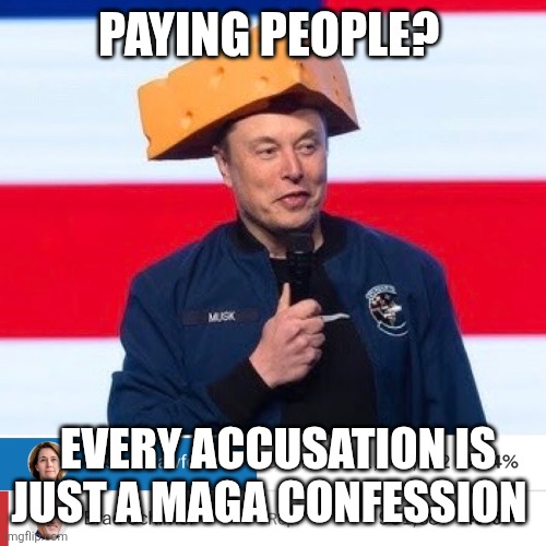 Muskrat Lost his Cheese | PAYING PEOPLE? EVERY ACCUSATION IS JUST A MAGA CONFESSION | image tagged in muskrat lost his cheese | made w/ Imgflip meme maker