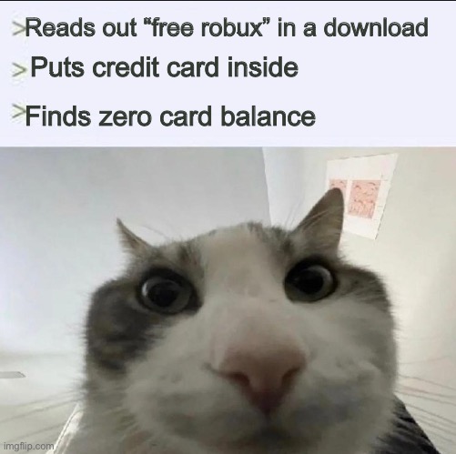 scammed | Reads out “free robux” in a download; Puts credit card inside; Finds zero card balance | image tagged in cat looks inside,scammer,silly,4chan,funny,bruh moment | made w/ Imgflip meme maker