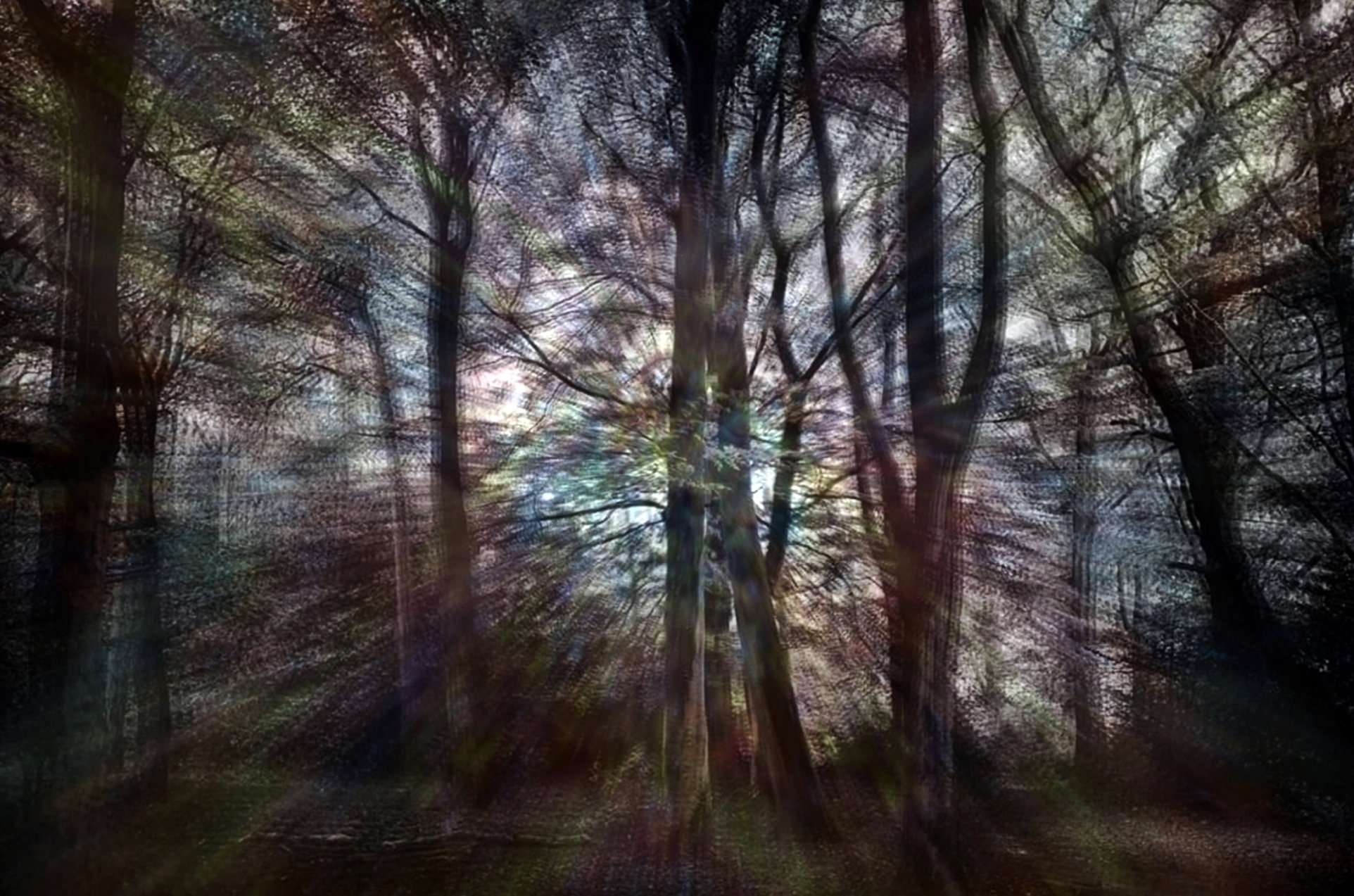 Haunted Woods Blank Meme Template