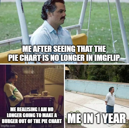 are you sure about that | ME AFTER SEEING THAT THE PIE CHART IS NO LONGER IN IMGFLIP; ME REALISING I AM NO LONGER GOING TO MAKE A BURGER OUT OF THE PIE CHART; ME IN 1 YEAR | image tagged in memes,sad pablo escobar | made w/ Imgflip meme maker