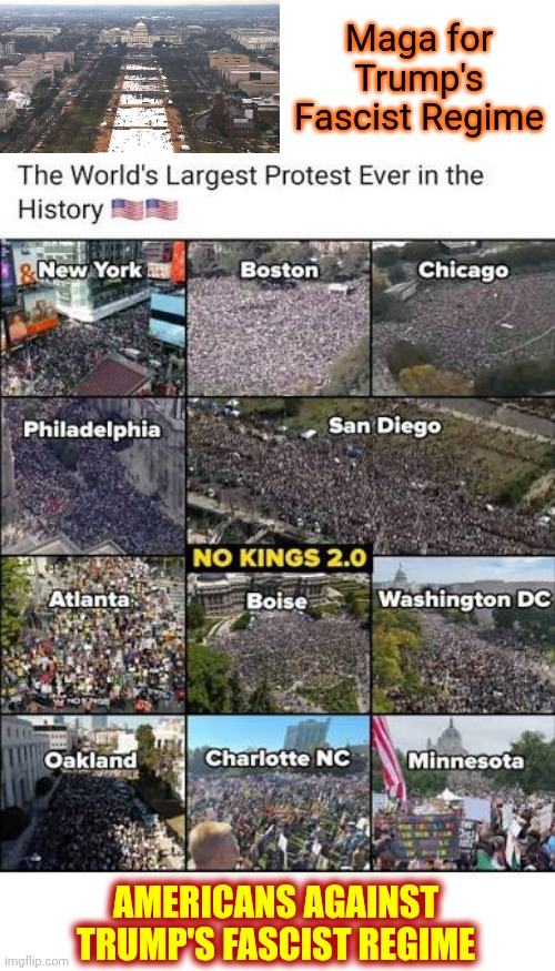 I LOVE MY COUNTRY!!! | Maga for Trump's Fascist Regime; AMERICANS AGAINST TRUMP'S FASCIST REGIME | image tagged in memes,everybody hates trump,protesters,largest protest in usa history,dump trump,dump the trump | made w/ Imgflip meme maker