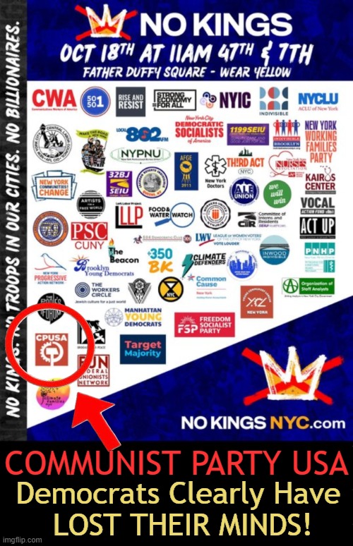 COMMIES, Out in the Open | Democrats Clearly Have 
LOST THEIR MINDS! COMMUNIST PARTY USA | image tagged in america,on the precipice,democrats,crying democrats,dumb people,communists | made w/ Imgflip meme maker