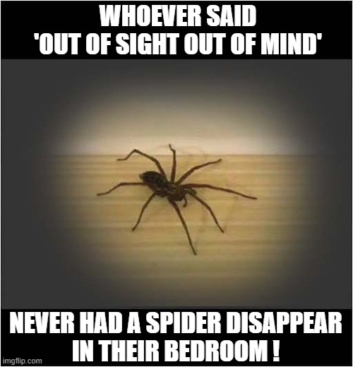 Another Sleepless Night ! | WHOEVER SAID
'OUT OF SIGHT OUT OF MIND'; NEVER HAD A SPIDER DISAPPEAR
IN THEIR BEDROOM ! | image tagged in sayngs,spider,bedroom,sleepless | made w/ Imgflip meme maker