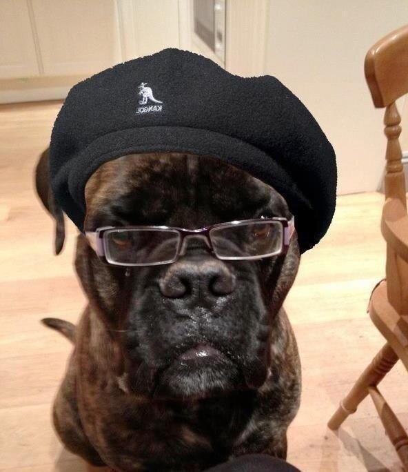 Samuel L Dogson Blank Meme Template