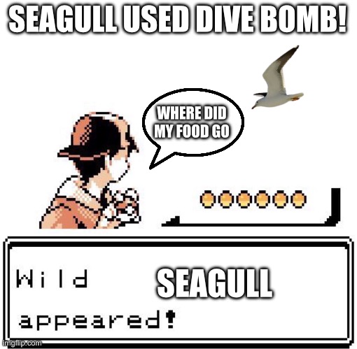 Blank Wild Pokemon Appears | SEAGULL USED DIVE BOMB! SEAGULL WHERE DID MY FOOD GO | image tagged in blank wild pokemon appears | made w/ Imgflip meme maker
