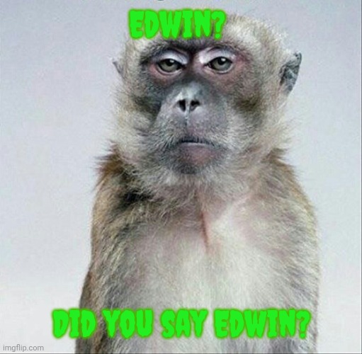 Blank face stare | Edwin? Did you say Edwin? | image tagged in blank face stare | made w/ Imgflip meme maker