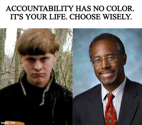 pls don't cancel me for this one | ACCOUNTABILITY HAS NO COLOR. 
IT'S YOUR LIFE. CHOOSE WISELY. | image tagged in ben carson,advice,all lives matter | made w/ Imgflip meme maker