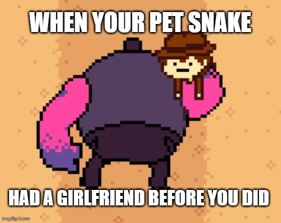 snek | WHEN YOUR PET SNAKE; HAD A GIRLFRIEND BEFORE YOU DID | image tagged in snake | made w/ Imgflip meme maker