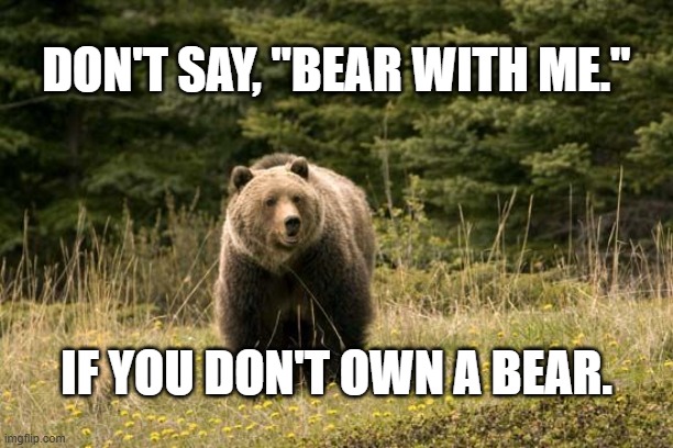 Bear with me | DON'T SAY, "BEAR WITH ME."; IF YOU DON'T OWN A BEAR. | image tagged in bear with me | made w/ Imgflip meme maker