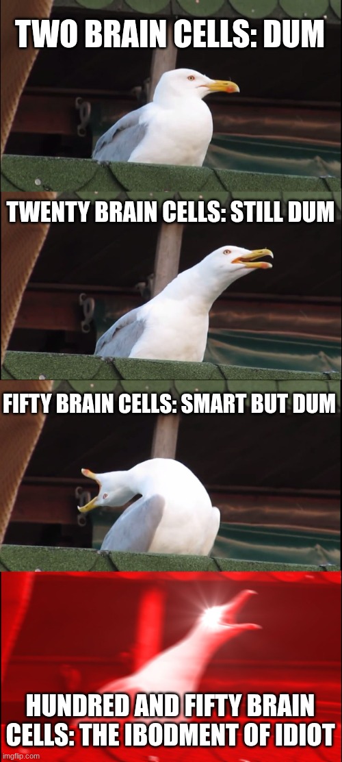 HOW STUPID ARE YOU | TWO BRAIN CELLS: DUM; TWENTY BRAIN CELLS: STILL DUM; FIFTY BRAIN CELLS: SMART BUT DUM; HUNDRED AND FIFTY BRAIN CELLS: THE IBODMENT OF IDIOT | image tagged in memes,inhaling seagull,dumb,idiot | made w/ Imgflip meme maker