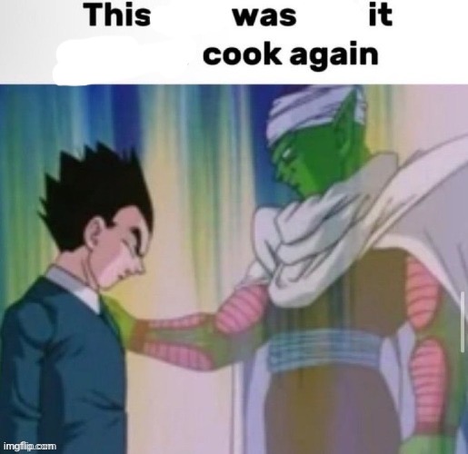 This shit was not it never cook again | image tagged in this shit was not it never cook again | made w/ Imgflip meme maker