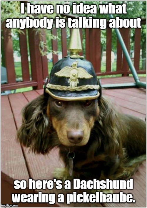 Title self-explanatory | I have no idea what anybody is talking about; so here's a Dachshund wearing a pickelhaube. | image tagged in dogs,i have no idea,why did i make this | made w/ Imgflip meme maker