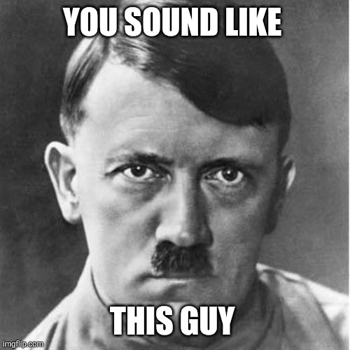 Adolph | YOU SOUND LIKE THIS GUY | image tagged in adolph | made w/ Imgflip meme maker