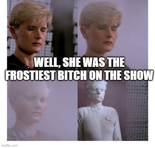 Accurate Presentation | WELL, SHE WAS THE FROSTIEST BITCH ON THE SHOW | image tagged in star trek | made w/ Imgflip meme maker