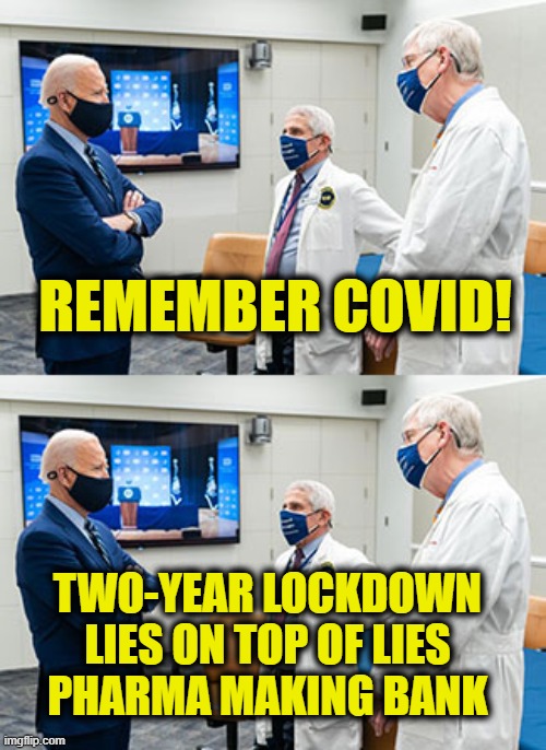 Democratic Party is not your friend | REMEMBER COVID! TWO-YEAR LOCKDOWN
LIES ON TOP OF LIES
PHARMA MAKING BANK | image tagged in democratic party | made w/ Imgflip meme maker