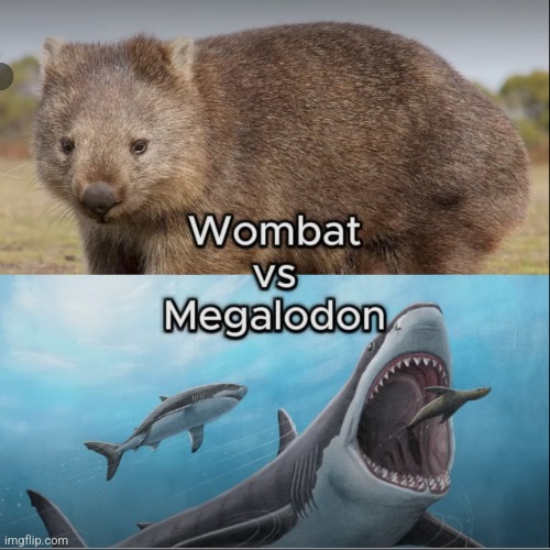 Chat is this close | image tagged in bowser fart | made w/ Imgflip meme maker