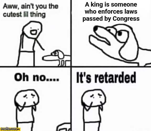 Oh no it's retarded! | A king is someone
who enforces laws
passed by Congress | image tagged in oh no it's retarded,no kings,memes,democrats,trump derangement syndrome,protests | made w/ Imgflip meme maker