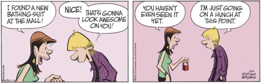 Zits | image tagged in comics | made w/ Imgflip meme maker