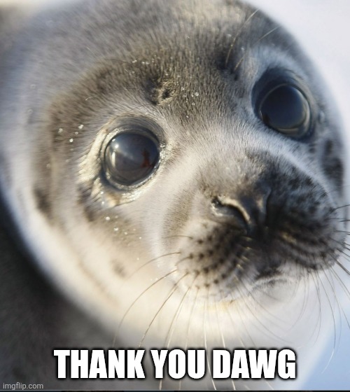 Seal | THANK YOU DAWG | made w/ Imgflip meme maker