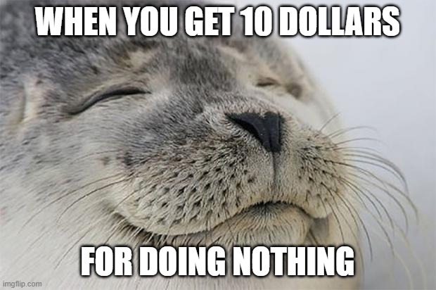 When you get 10 dollars for doing nothing | WHEN YOU GET 10 DOLLARS; FOR DOING NOTHING | image tagged in memes,satisfied seal | made w/ Imgflip meme maker